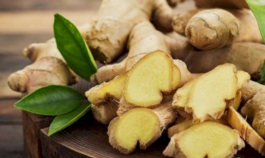 Gengibre, o que ele pode fazer por você?