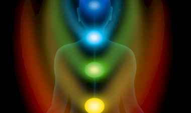 Relações Psíquicas X Corpo Humano, como se conectam?